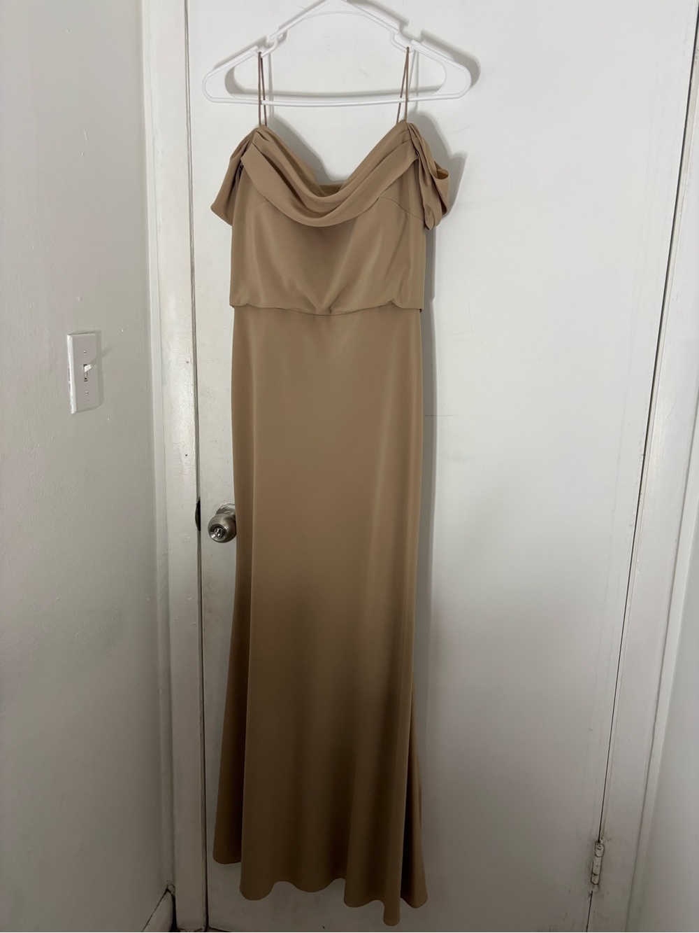Jenny Yoo Draped Cowl Neck Slip Gown in Tan